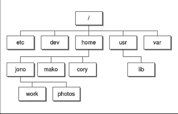 Fitxer:Estructura de Directoris en Linux.png